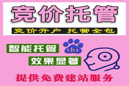 某电商平台信息流广告的精准推广策略